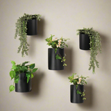 The Green Wall Bundle