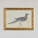 El Salon Frame 30x40 cm