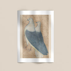 Two Pigeons Print