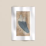 Two Pigeons Print
