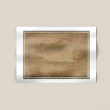 Fish in Tomb of Khnumhotep Print