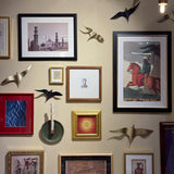 The 'Big Wall' Frames Bundle