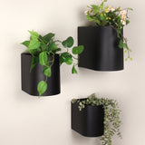 Muqarnas Steel Planter (Set of 3)