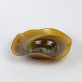 Glass plate in Tahini