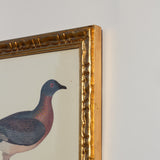 El Salon Frame 30x40 cm