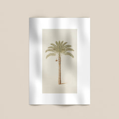 Palm Tree Print