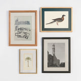 The Neutral Frames Gallery Bundle